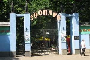 Летом в зоопарке Харькова будет продолжено строительство «Африканской саванны»